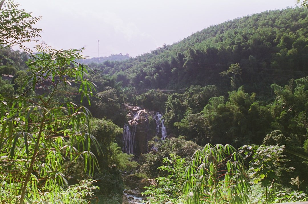 Ojang-p'okp'o