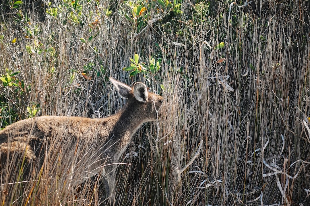 Namtok Phlio National Park