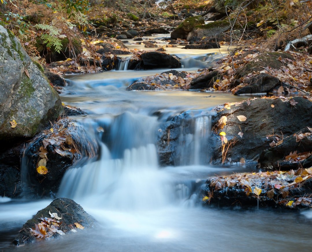Buchan Waterfall