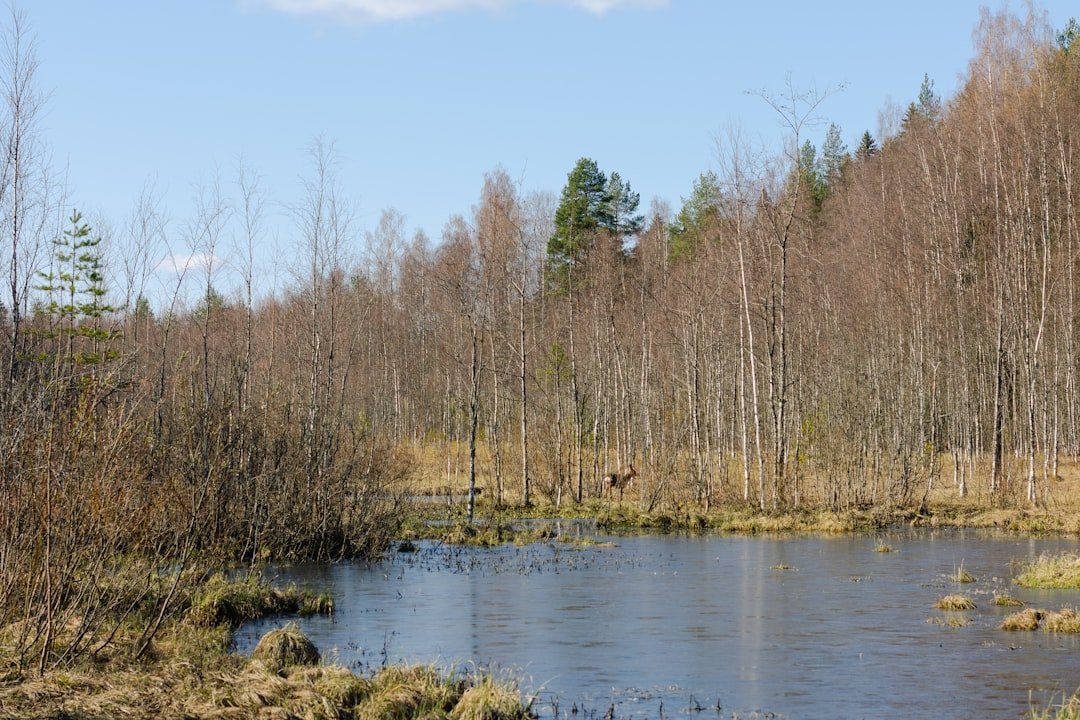 Gáldoainurki