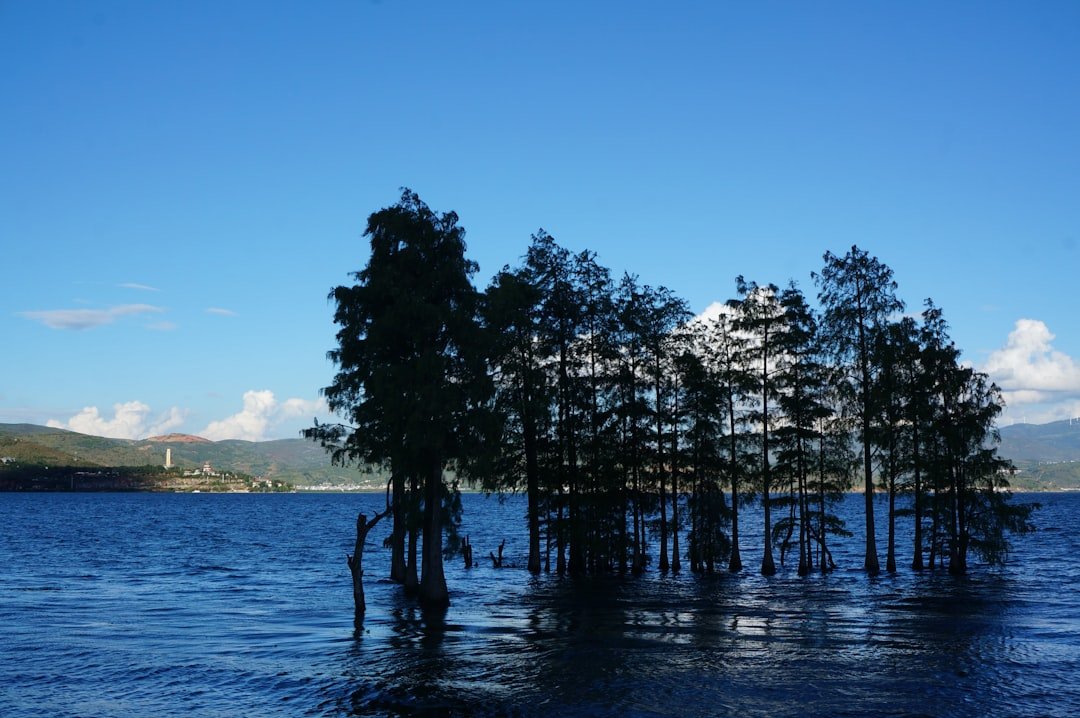Mapanao Lake