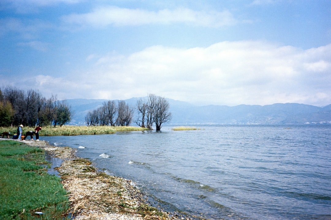 Lake Aratiatia