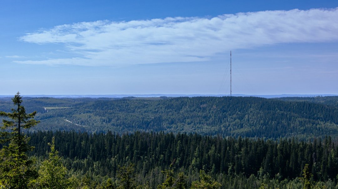 Vehoniemi observation tower