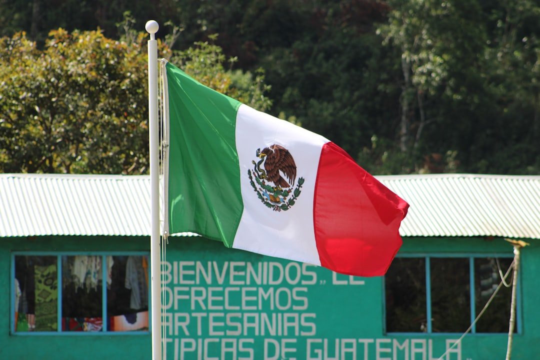 Careycito