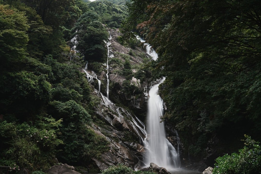 Fudōga Taki