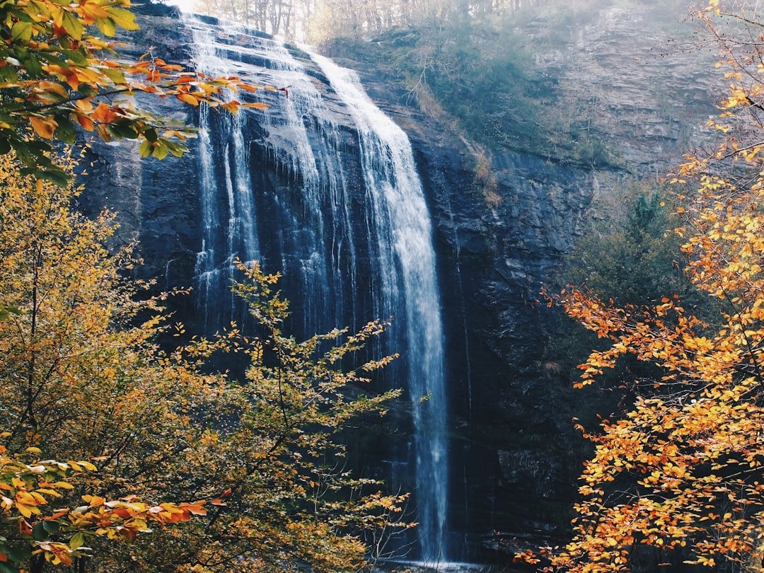 Sanje Fall