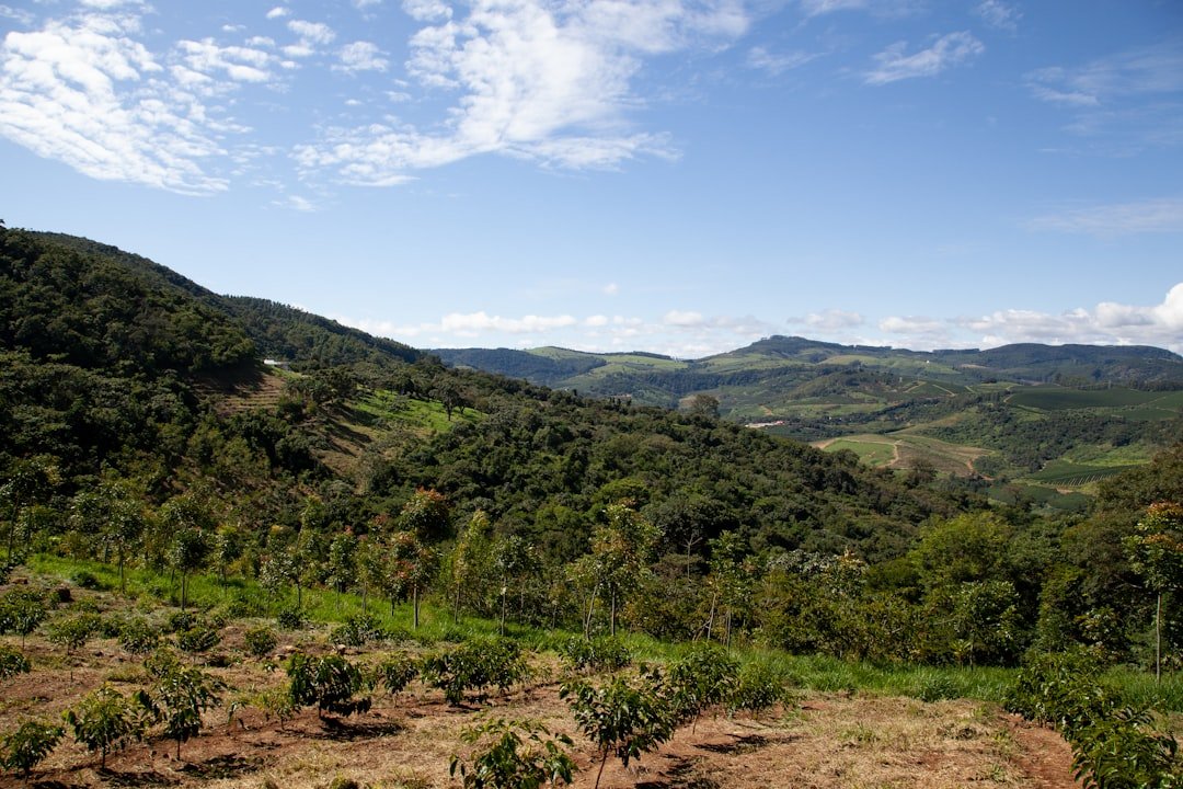 Congurupis de Dentro