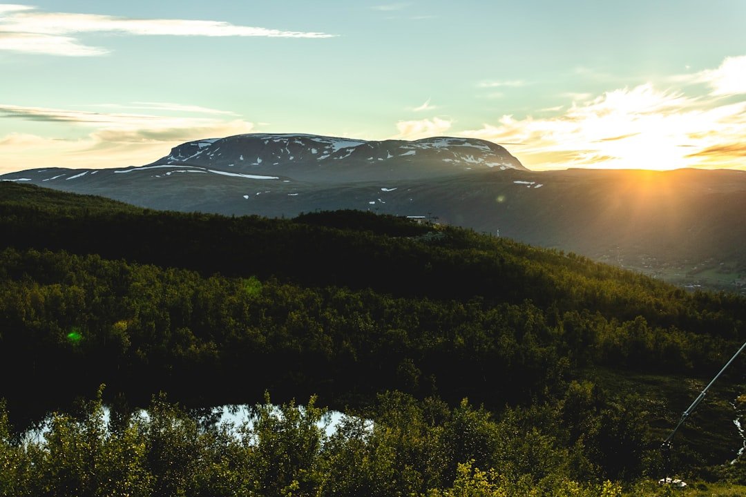 Bjørnebreen