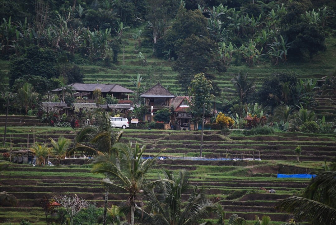 Bawang Olakadundung