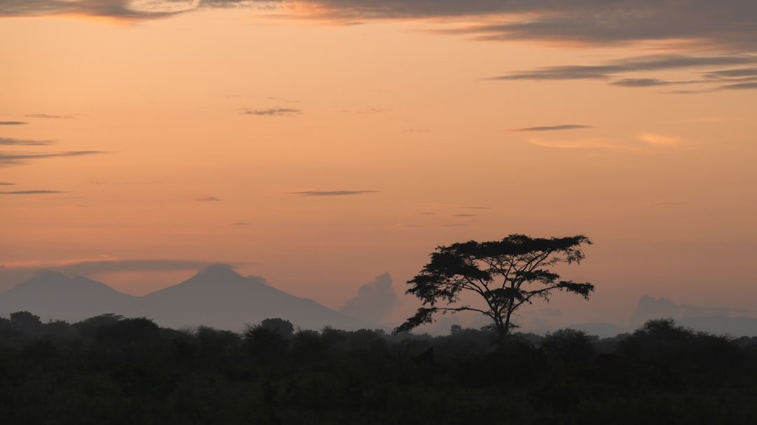 Baluran