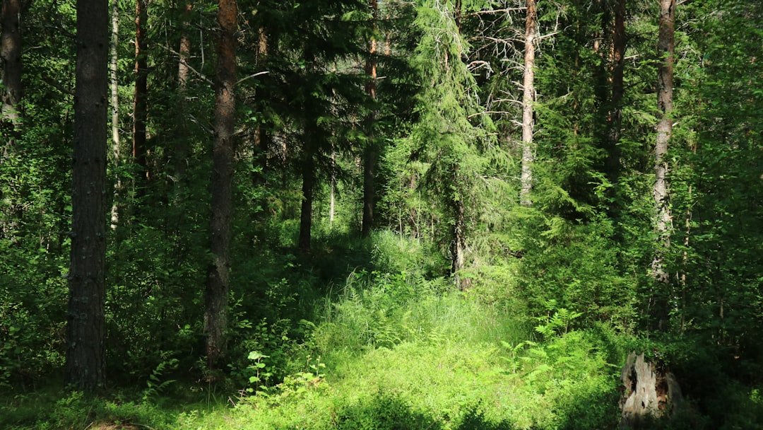 Klobbabergen