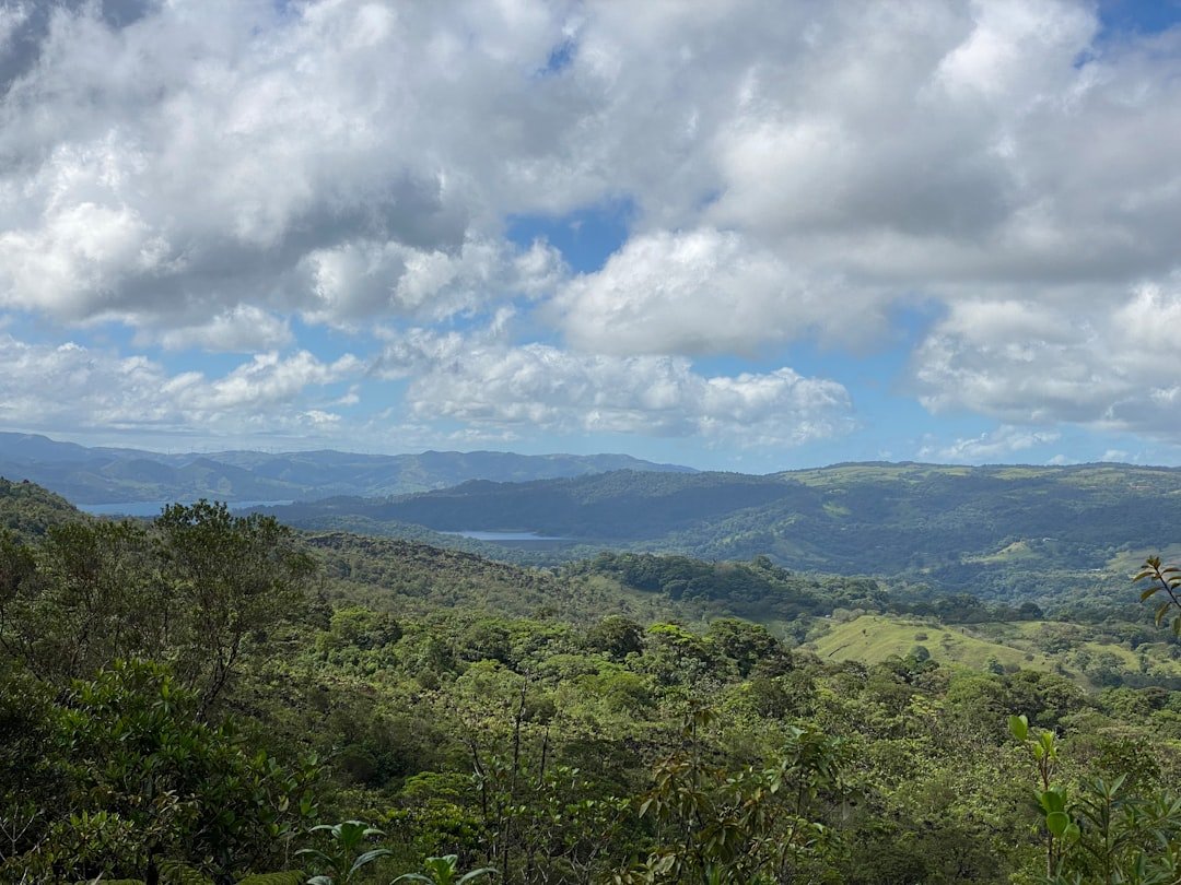 Dominical
