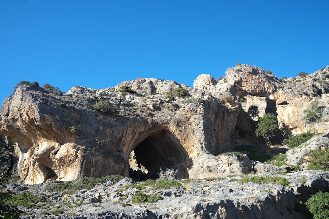 Cave Anemotrypa