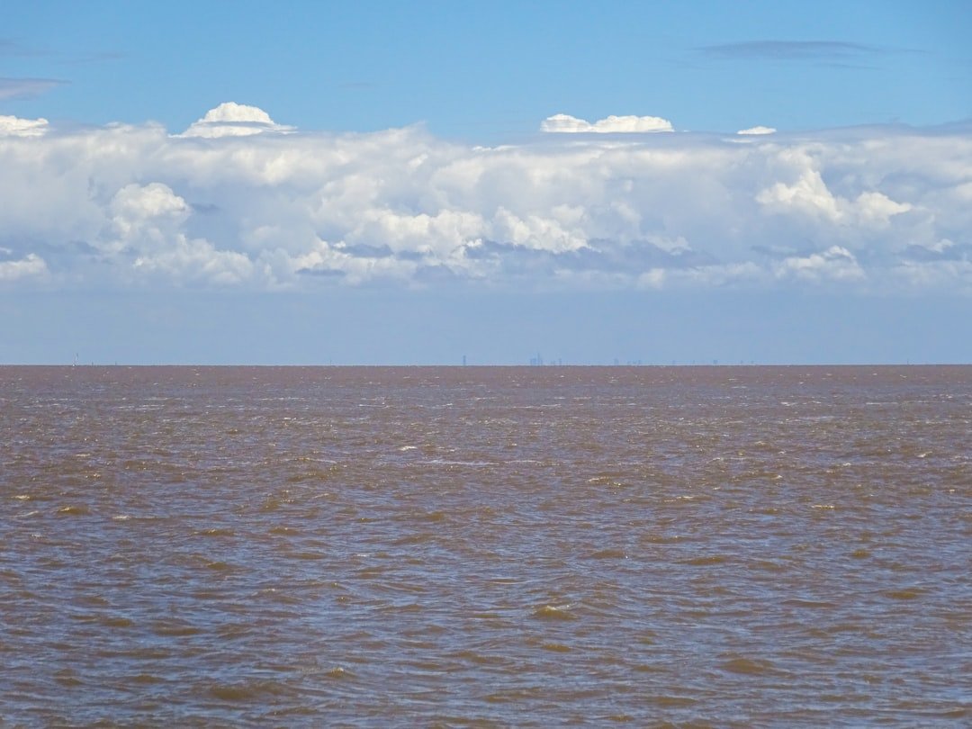 Salina de la Costa