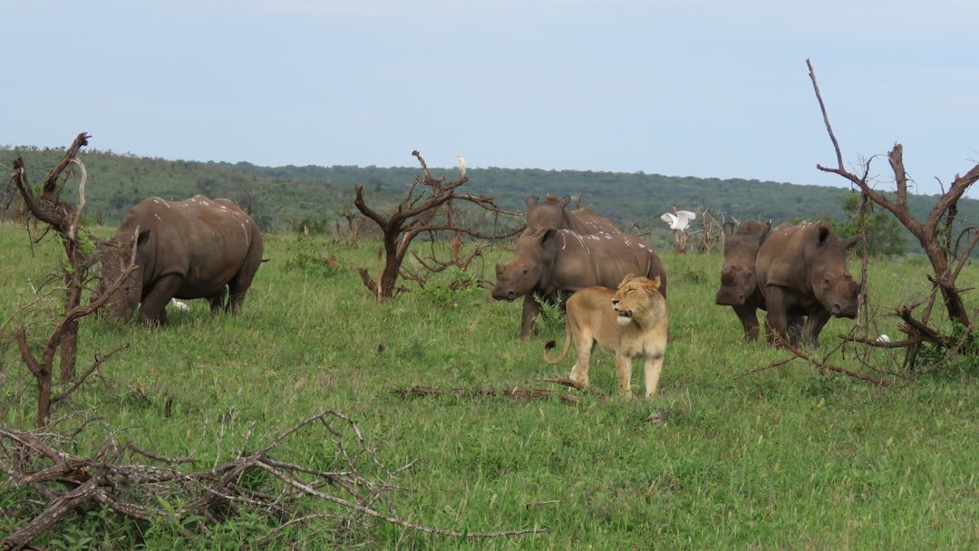 Op Luang National Park