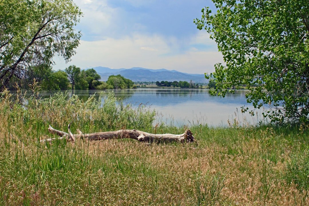 Bon Accord Reservoir