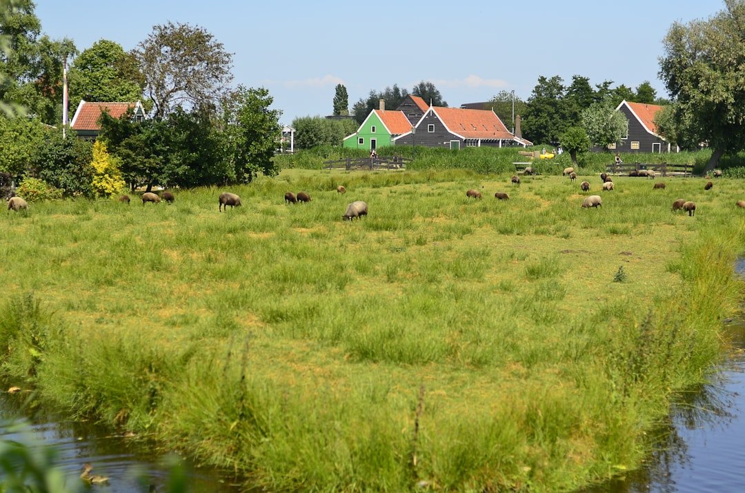 Landgoed Rosendael