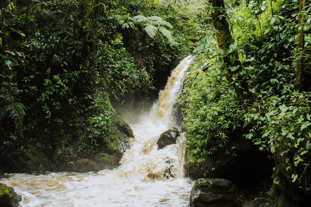Salto de Agua
