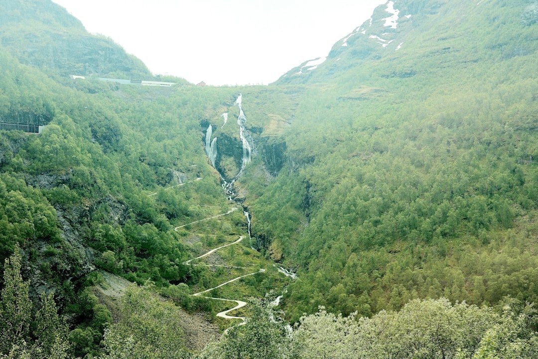 Bohrsbreen