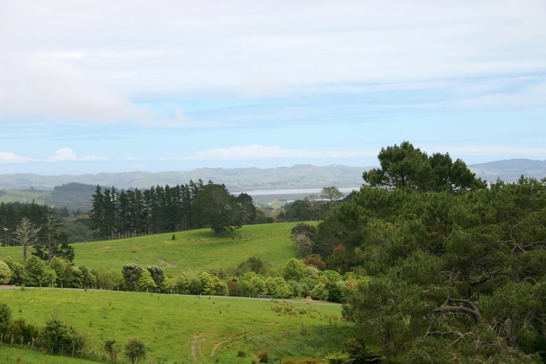 Whakamuhu / Glover Park