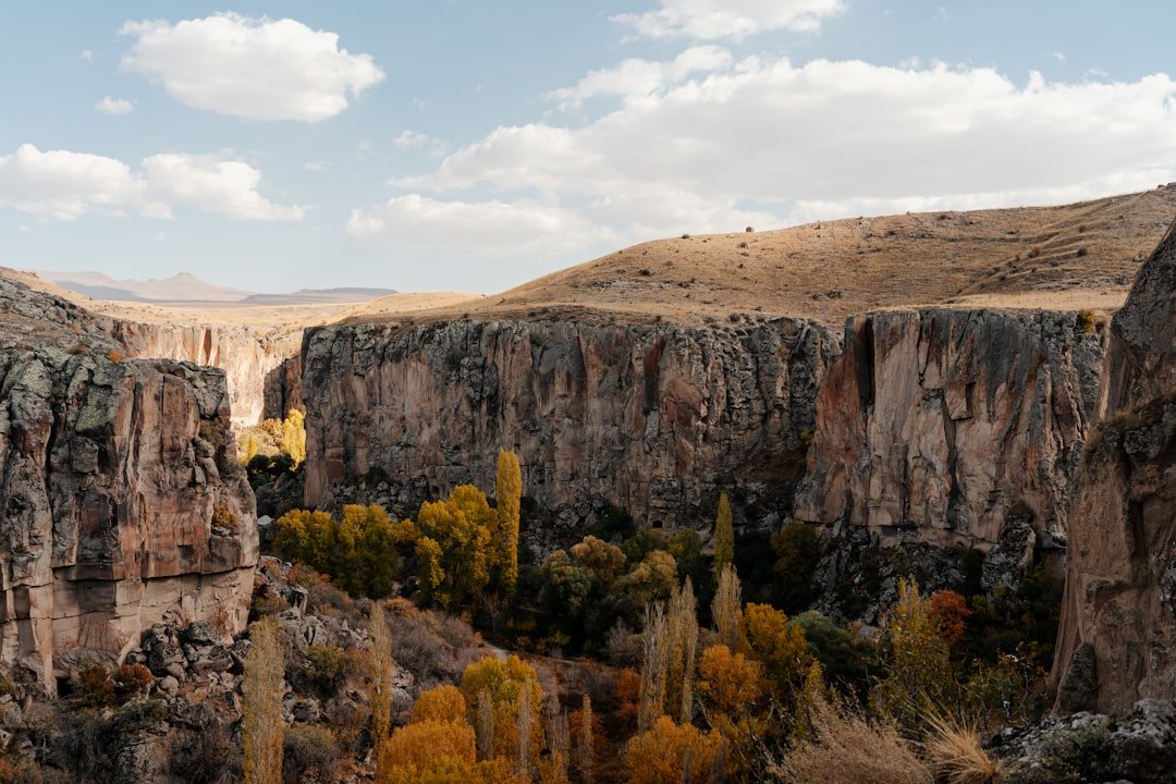 Alandaş Dağı