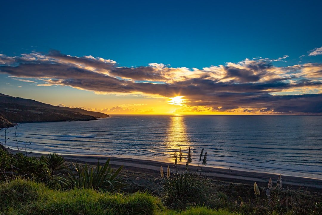 Chrystalls Beach