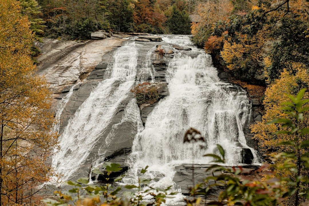 Fox Parking Waterfall