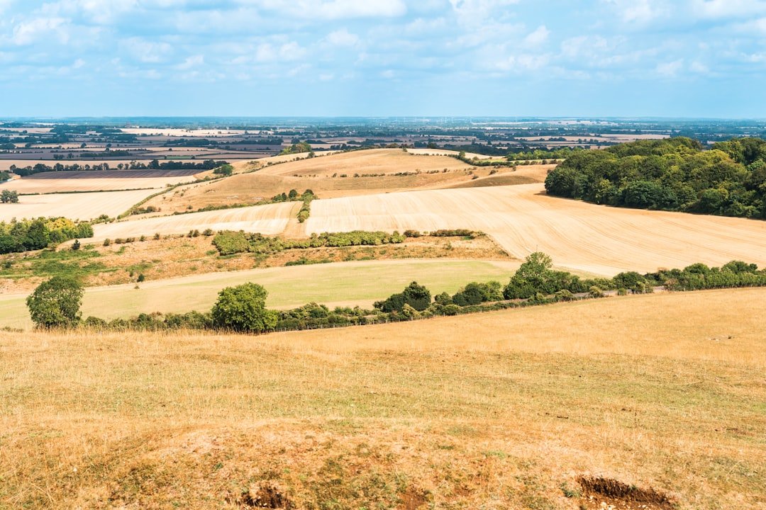 Jarn Mound