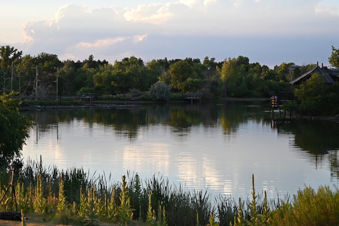 Goillet Lake