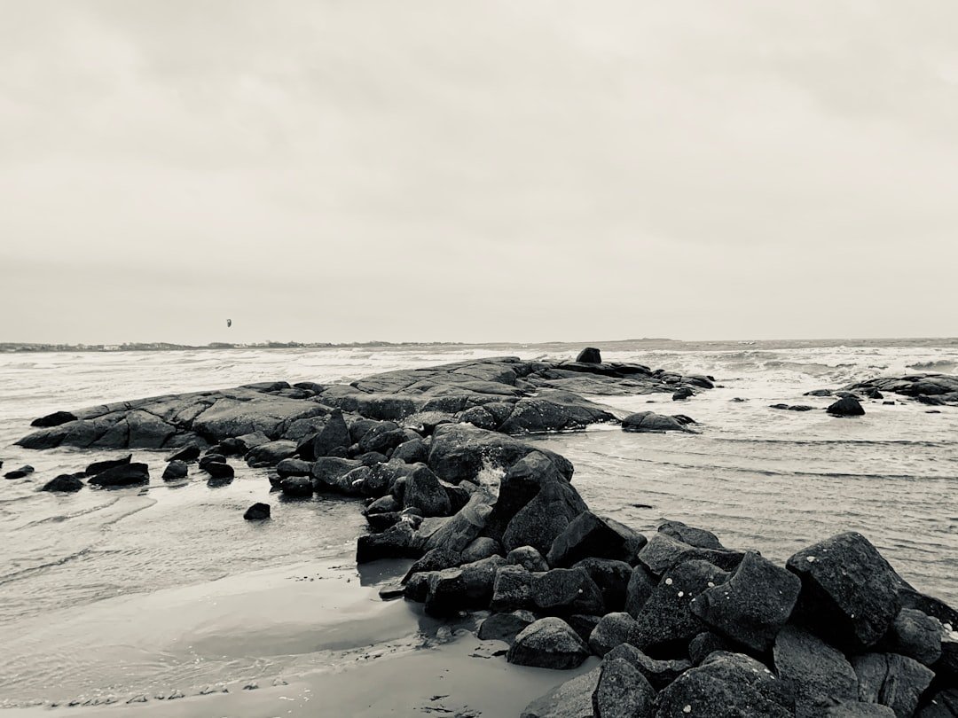 Apelviken