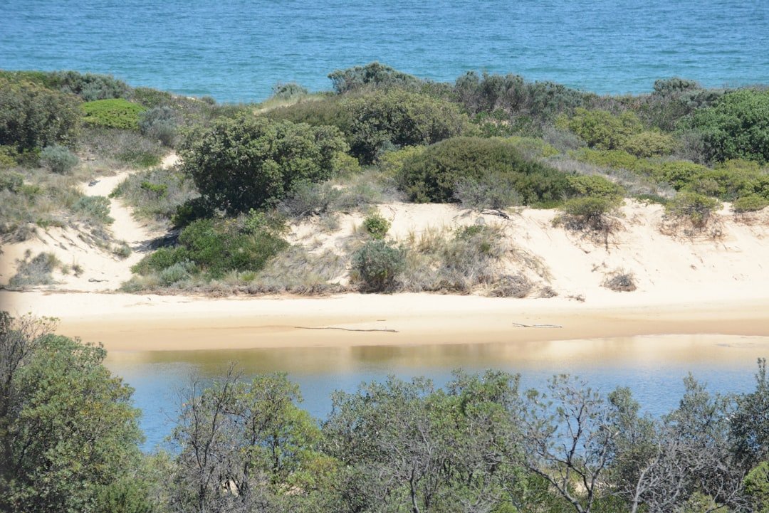 Blackmans Bay Beach