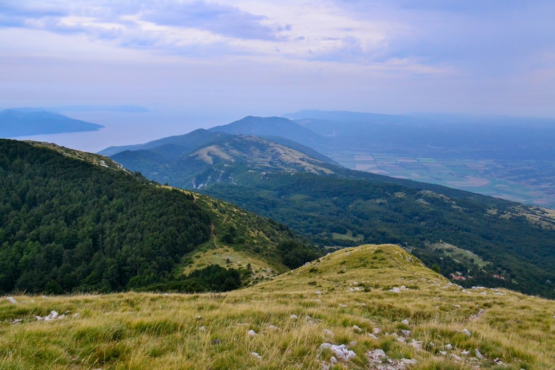 Gavanovac