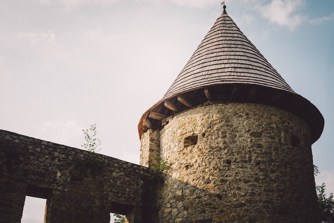 Novigrad Castle