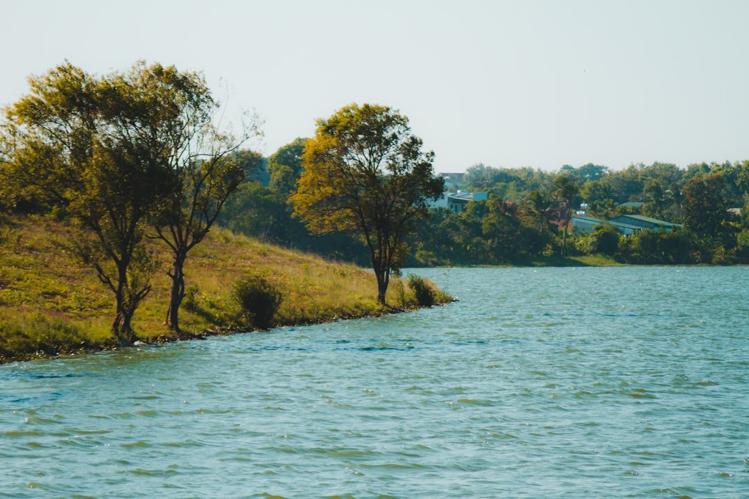 Lake Look