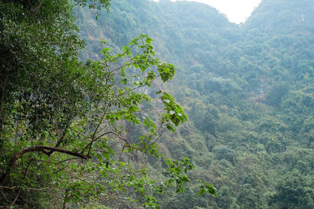 Khao Sip Ha Chan National Park