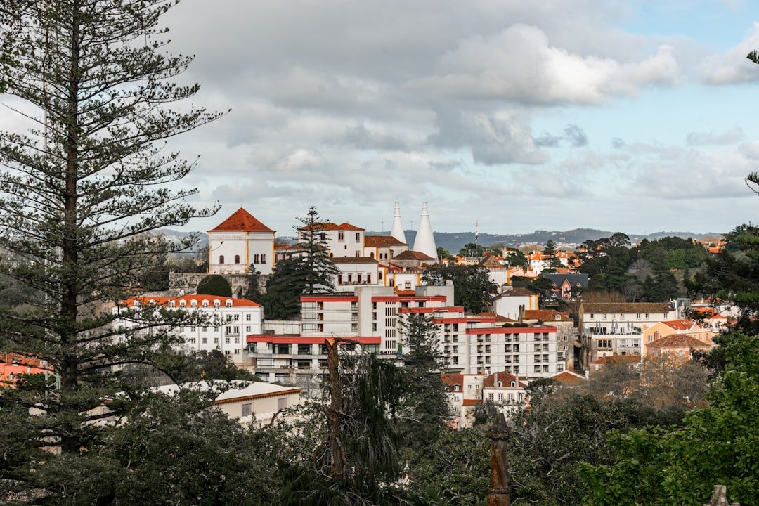 Bouça