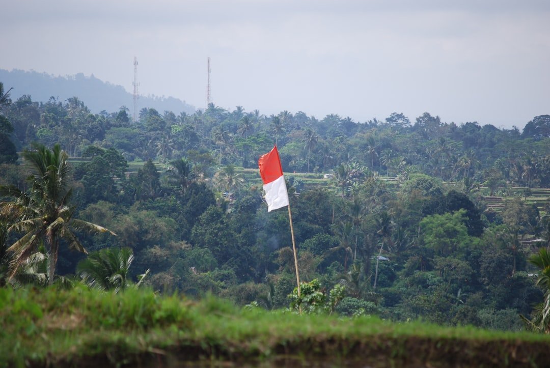 Poco Ranaka