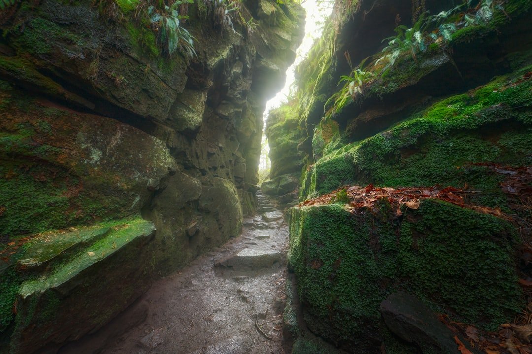 Batty Cave