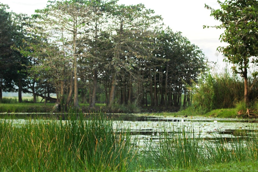 Biak-na-Bato National Park