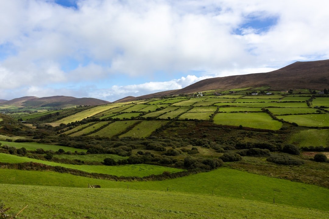 Benyvoughella Hill
