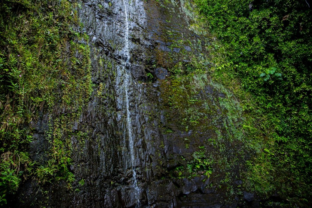 Krebs Waterfall