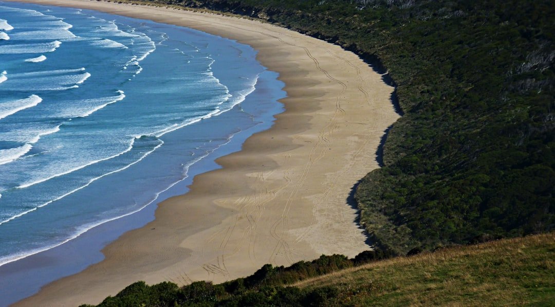 Ocean Beach