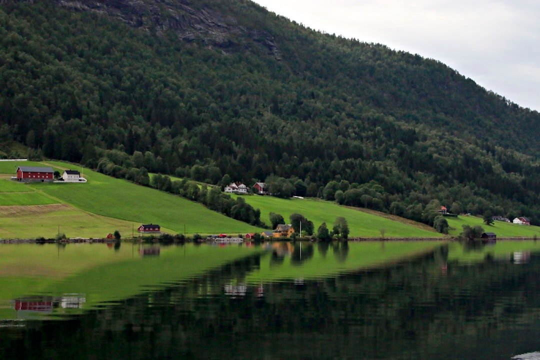 Bonskrefonna
