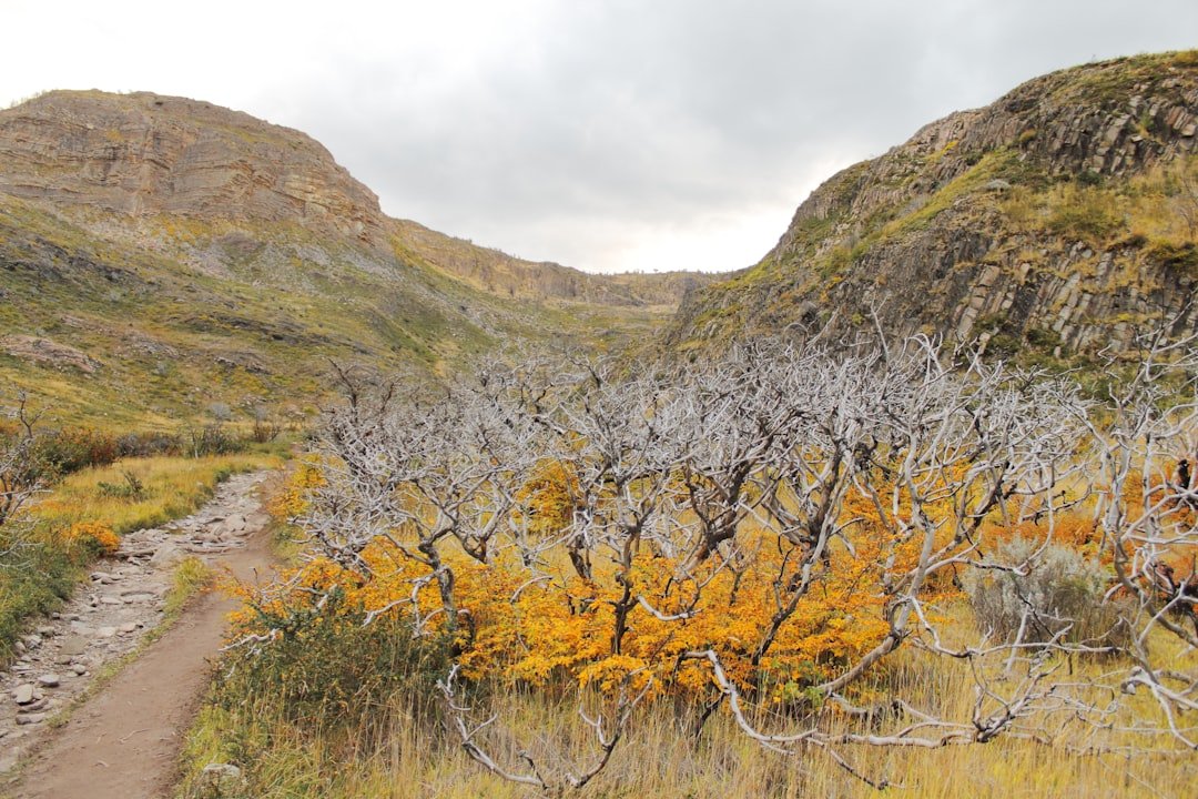 Las Palmas de Cocalán National Park