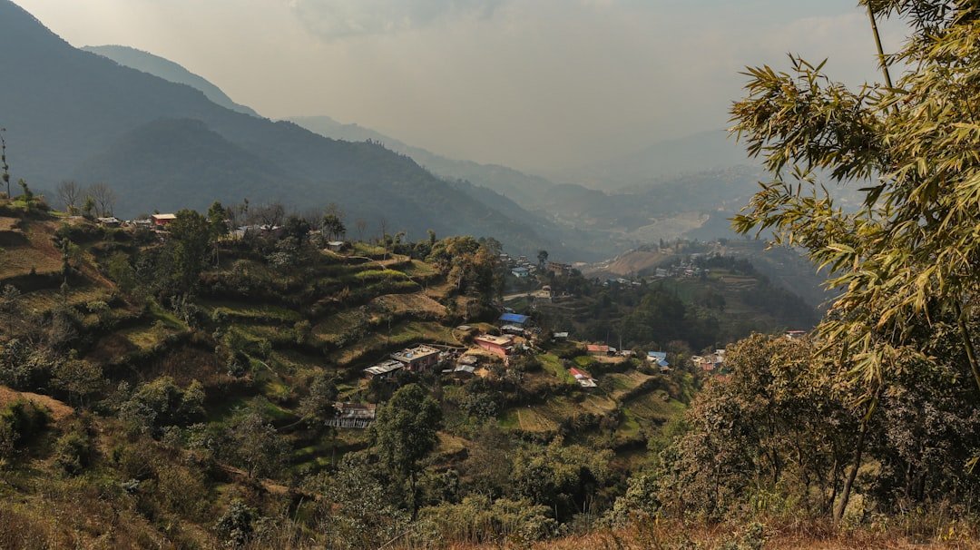 Bhrānge
