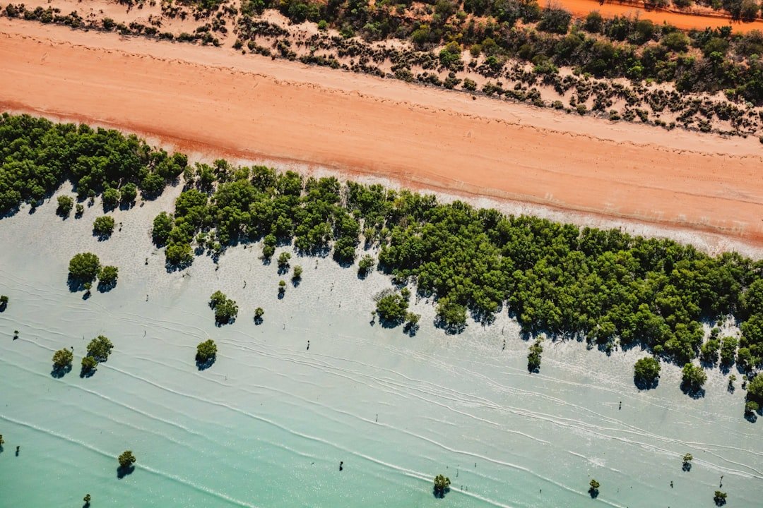 Berry Jerry Lagoon