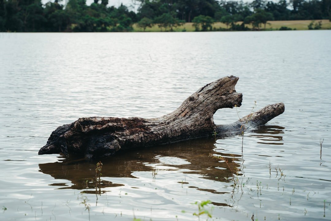 Callow Lough
