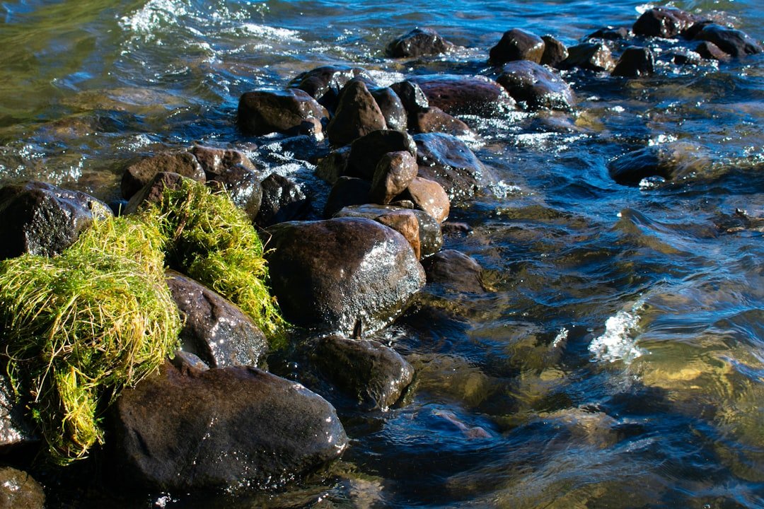 Diamond Lake