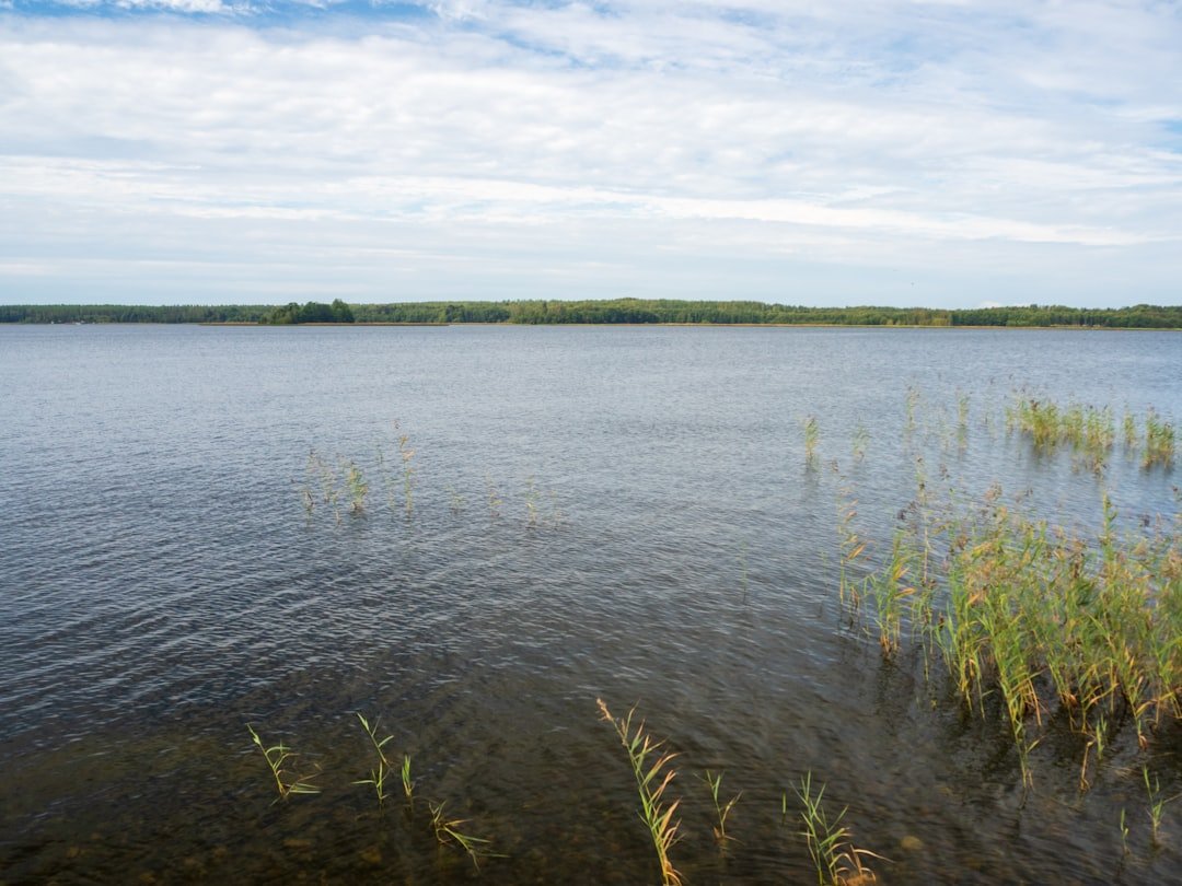 Ardra Lough