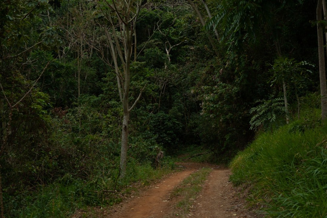 Cêrro da Madeira